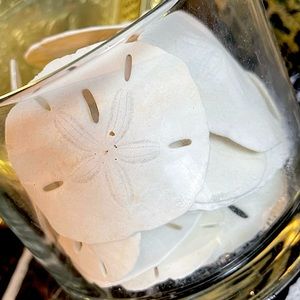 set of 30 authentic sand dollars